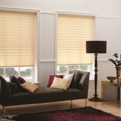Pleated-Blinds1-862x575-640x480