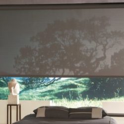 Roller-Blinds10-862x474-640x480